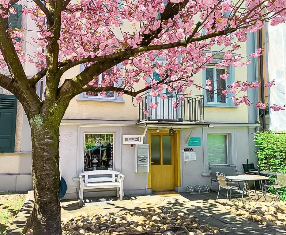 Citylodge St Gallen - 2 Min To Marktplatz Санкт-Галлен Экстерьер фото